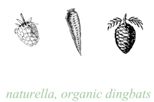 Naturella Font: Organic Design for Web