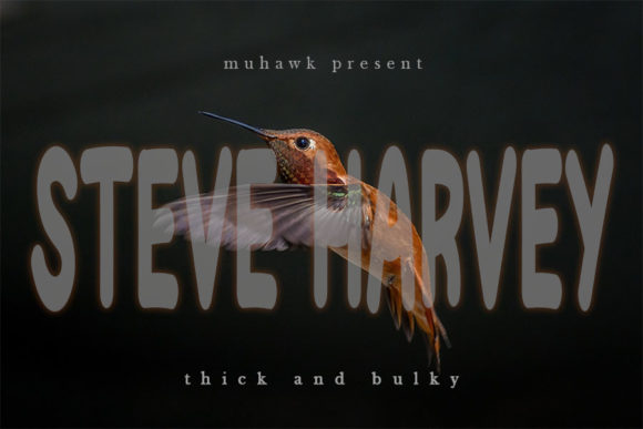 Steve Harvey Font: A Designer’s Campaign Review